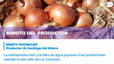 Minuto del productor - Benito Rodrguez, productor de cebolla de Villarino