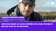 Gaspar Snchez Cores - Analista de marketing de Advanta