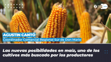  Agustín Canto - Coordinador Comercial Regional Sur de Don Mario
