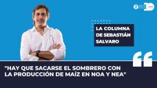 Columna Sebastián Salvaro - 