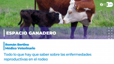 Román Bertino - Médico veterinario