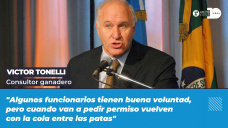 Víctor Tonelli - Consultor ganadero