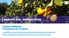 Minuto del productor - Diana Chediak, productora de Tucumán