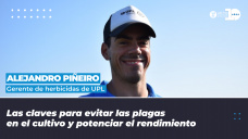 Alejandro Pieiro - Gerente de herbicidas de UPL.