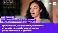 Ana Collaro - Directora de inversiones de Adblick, miembro del Comité organizador de Argentina Visión 2040