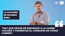 Columna Ricardo Bindi - 