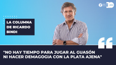 Columna Ricardo Bindi - 