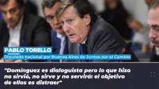 Pablo Torello - Diputado nacional por Buenos Aires de Juntos por el Cambio