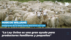 Marcos Williams - Integrante de la Mesa Ovina Nacional por CRA