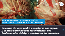 Exportaciones de carne y maz - El debate por los anuncios del Gobierno