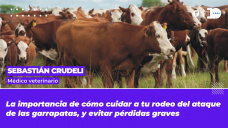 Sebastián Crudeli - Médico veterinario
