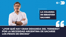 Columna Sebastián Salvaro - 