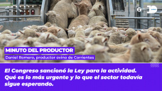 Minuto del productor - Daniel Romero, productor ovino de Corrientes