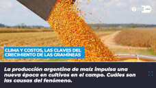 Clima y costos -Las claves del crecimiento de las gramíneas