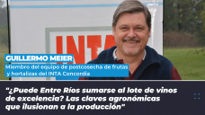 Guillermo Meier - Miembro del equipo de postcosecha de frutas y hortalizas del INTA Concordia