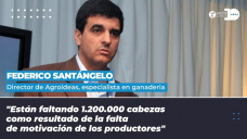 Federico Santángelo - Director de Agroideas, especialista en ganadería