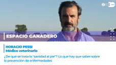 Horacio Pessi - Médico veterinario 