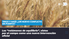 Trigo y maíz - ¿El nuevo conflicto en puerta?