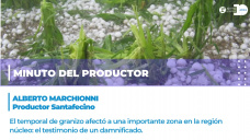Minuto del Productor: Alberto Marchionni - Productor santafesino que sufrió el granizo