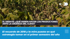 El debate - ¿qué deben hacer los productores ante la crudeza del clima?