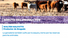 Minuto del productor - Walter Malfatto, de Bragado