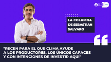 Columna Sebastián Salvaro - “Manual de instrucciones: qué hacer con las pistas que dejaron el USDA y la CONAB”