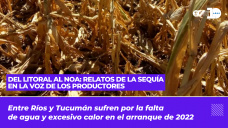 De Entre Ríos a Tucumán - Relatos de la sequía en la voz de los productores