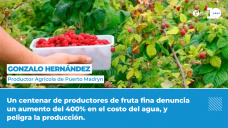 Gonzalo Hernández - Productor agrícola de Puerto Madryn
