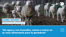 Daniel Romero - Productor Correntino, integrante de la Mesa Ovina Nacional
