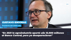 Gustavo Idigoras - Presidente de la Cmara Argentina de la Industria Aceitera y el Centro de Exportadores de Cereales