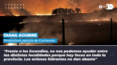 Diana Aguirre - Productora apícola correntina, Presidente de la Asociación Civil “Cámara Correntina de Apicultores”