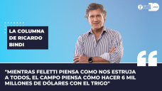 Columna Ricardo Bindi - 
