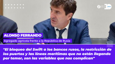 Alonso Ferrando - Agregado agrícola frente a la Republica de Rusia