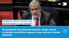Roberto Feletti pidió más retenciones a los granos