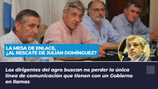 La Mesa de Enlace, ¿al rescate de Julián Domínguez?