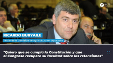 Ricardo Buryaile - Titular de la Comisin de Agricultura en Diputados