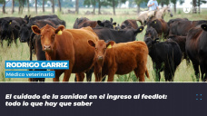 Rodrigo Garriz - Médico veterinario