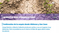Minuto del productor: testimonios de la sequía desde Misiones y San Juan