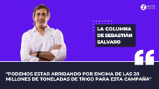 Columna Sebastin Salvaro: 