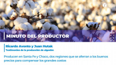 Minuto del productor: testimonios de la producción de algodón