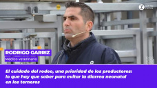 Rodrigo Garriz - Médico veterinario