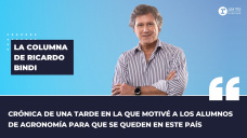 Columna Ricardo Bindi - 