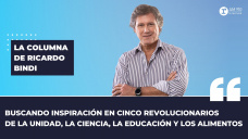 Columna Ricardo Bindi - 