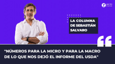 Columna Sebastián Salvaro - 