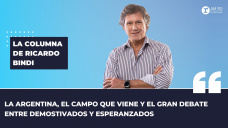 Columna Ricardo Bindi - 
