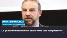 Juan Luis Uccelli - Consultor de la Industria porcina