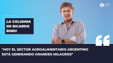 Columna Ricardo Bindi - 