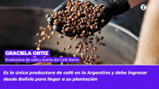 Graciela Ortiz - Productora de café y dueña de cafe Baritú
