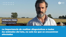 Horacio Pessi - Médico veterinario
