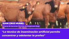 Juan Cruz Muriel - Gerente de Servicios Técnicos de Biogénesis Bagó